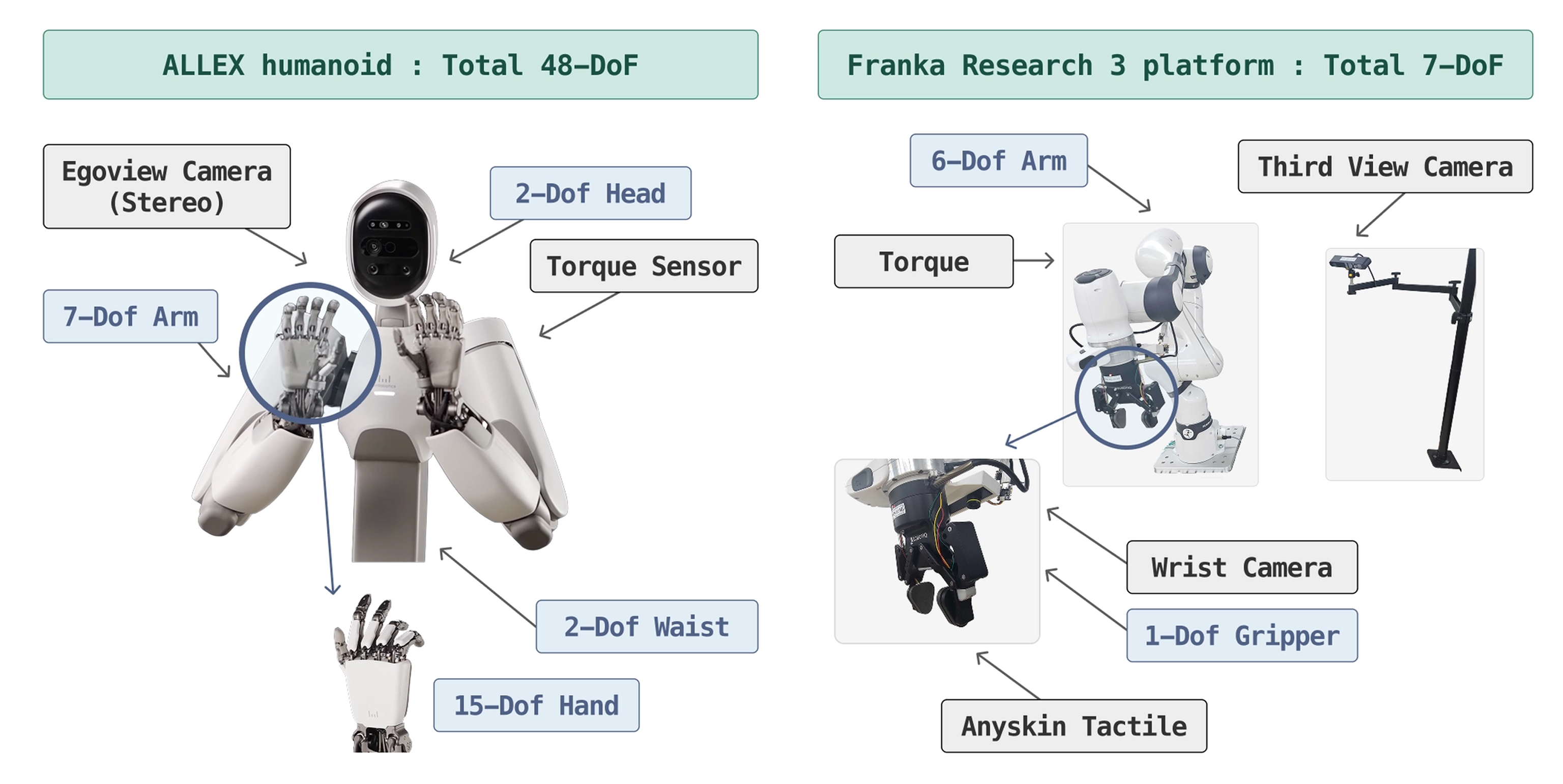 Mid-Training Target Embodiments: ALLEX humanoid and Franka Research 3
